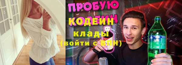 стаф Инта