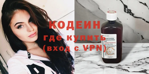 стаф Инта