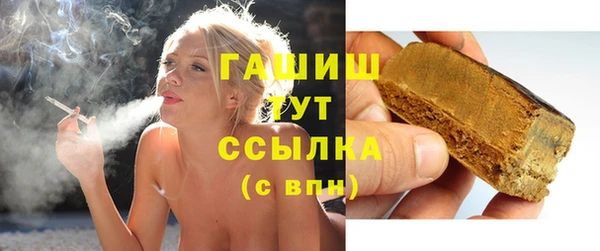 стаф Инта