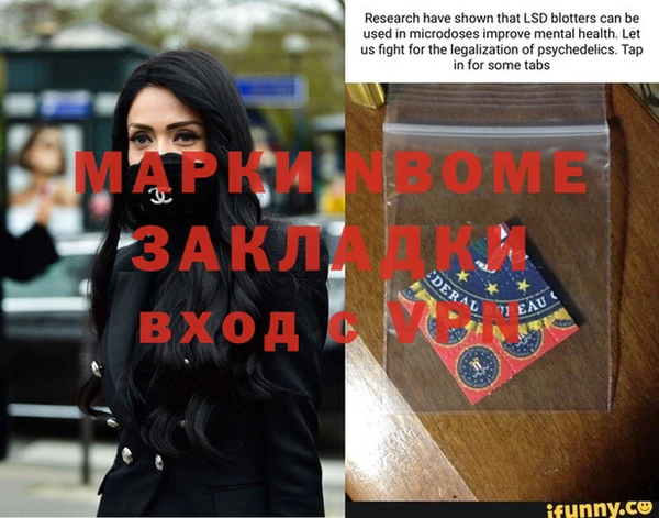 стаф Инта