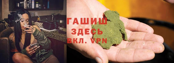 стаф Инта