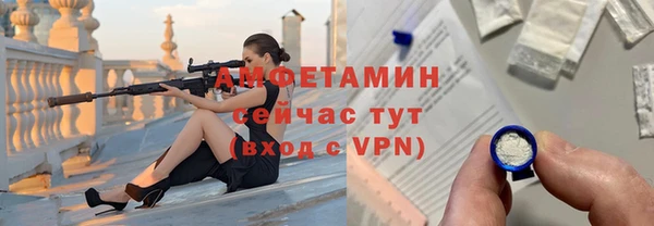 стаф Инта