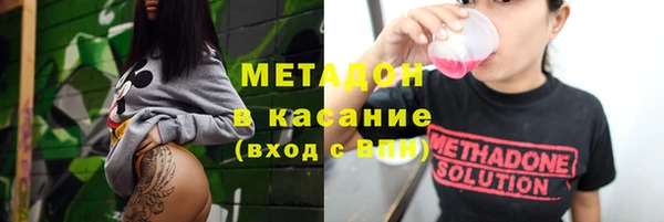 стаф Инта