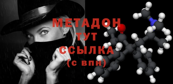 стаф Инта