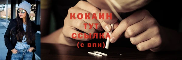 стаф Инта