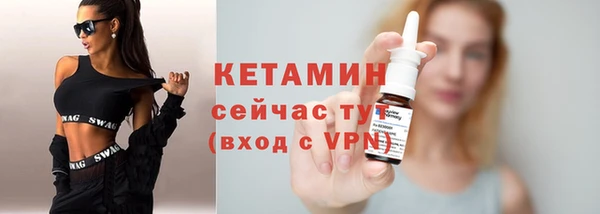 стаф Инта
