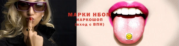 стаф Инта