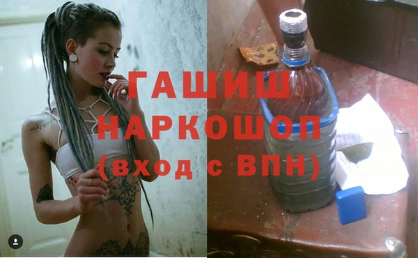 стаф Инта