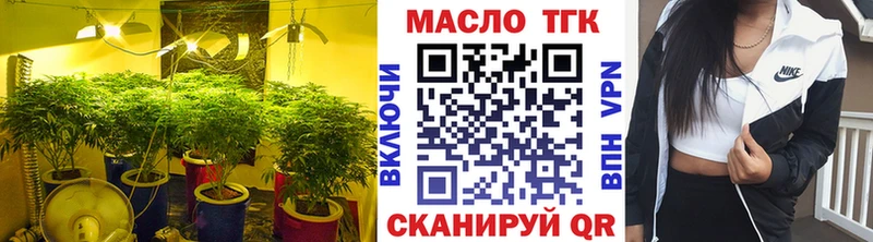 Купить  Гаджиево  ТГК жижа 