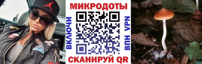 Купить где  Гаджиево  Галлюциногенные грибы MAGIC MUSHROOMS 