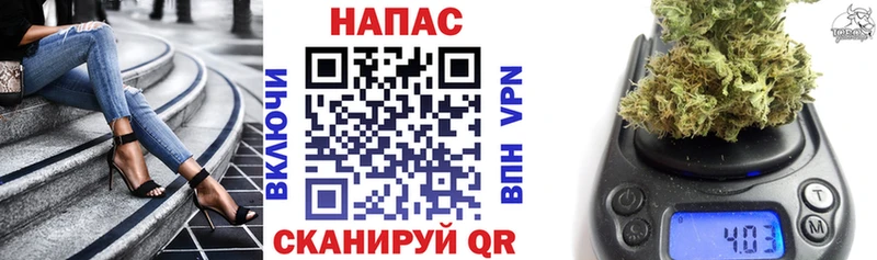 Каннабис ГИДРОПОН  Купить где  Гаджиево 